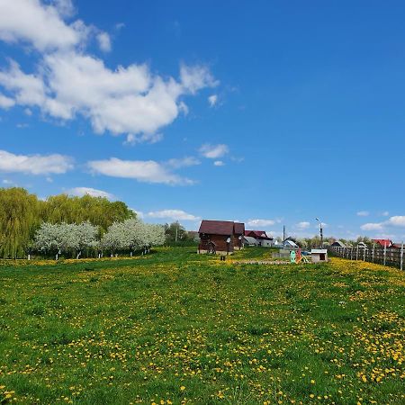 Popas Todiresti - La Iazul Cu 5 Casute Otel Suceava Dış mekan fotoğraf