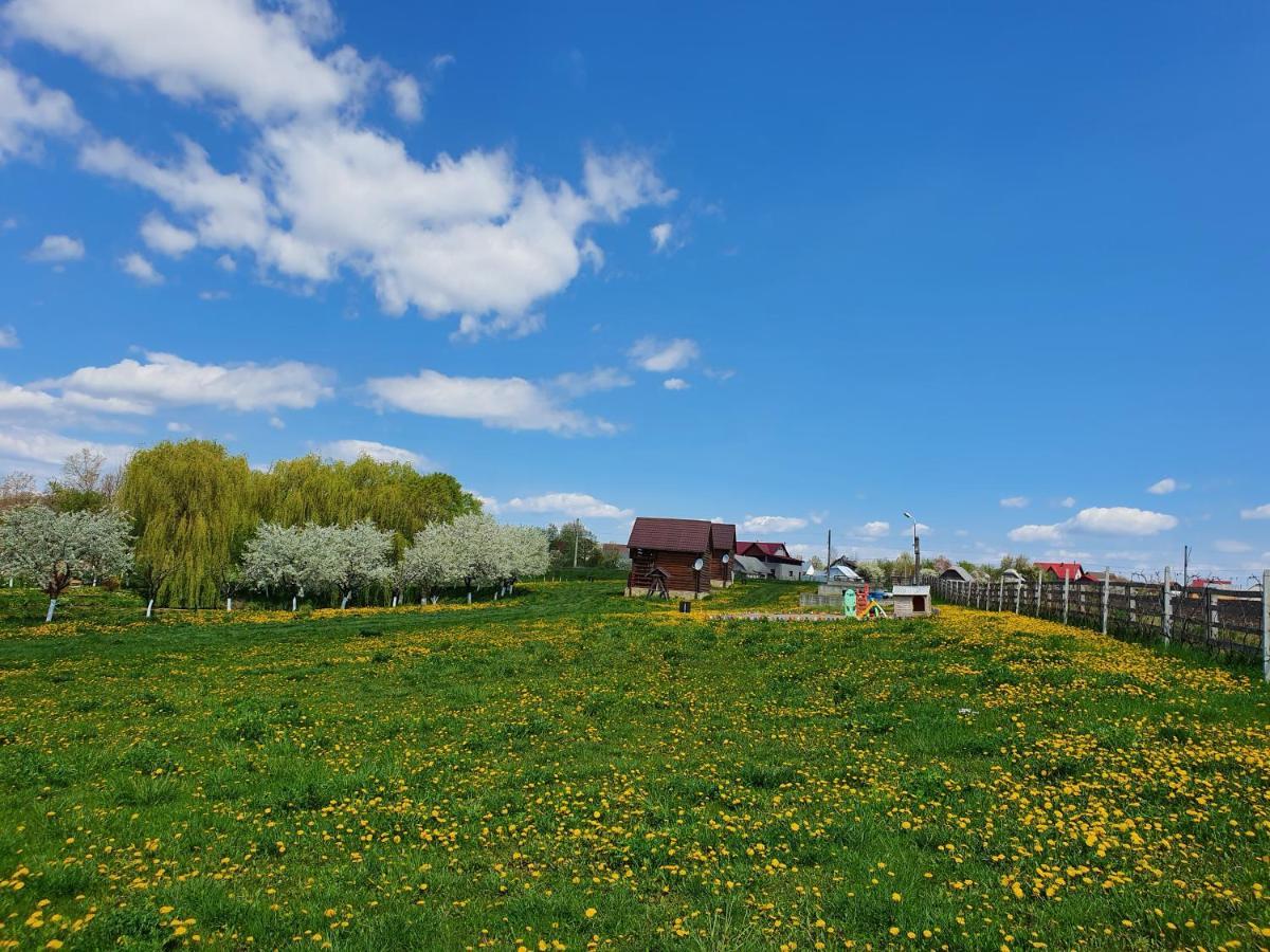 Popas Todiresti - La Iazul Cu 5 Casute Otel Suceava Dış mekan fotoğraf