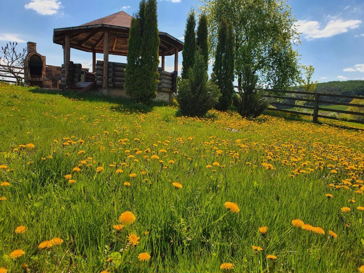 Popas Todiresti - La Iazul Cu 5 Casute Otel Suceava Dış mekan fotoğraf